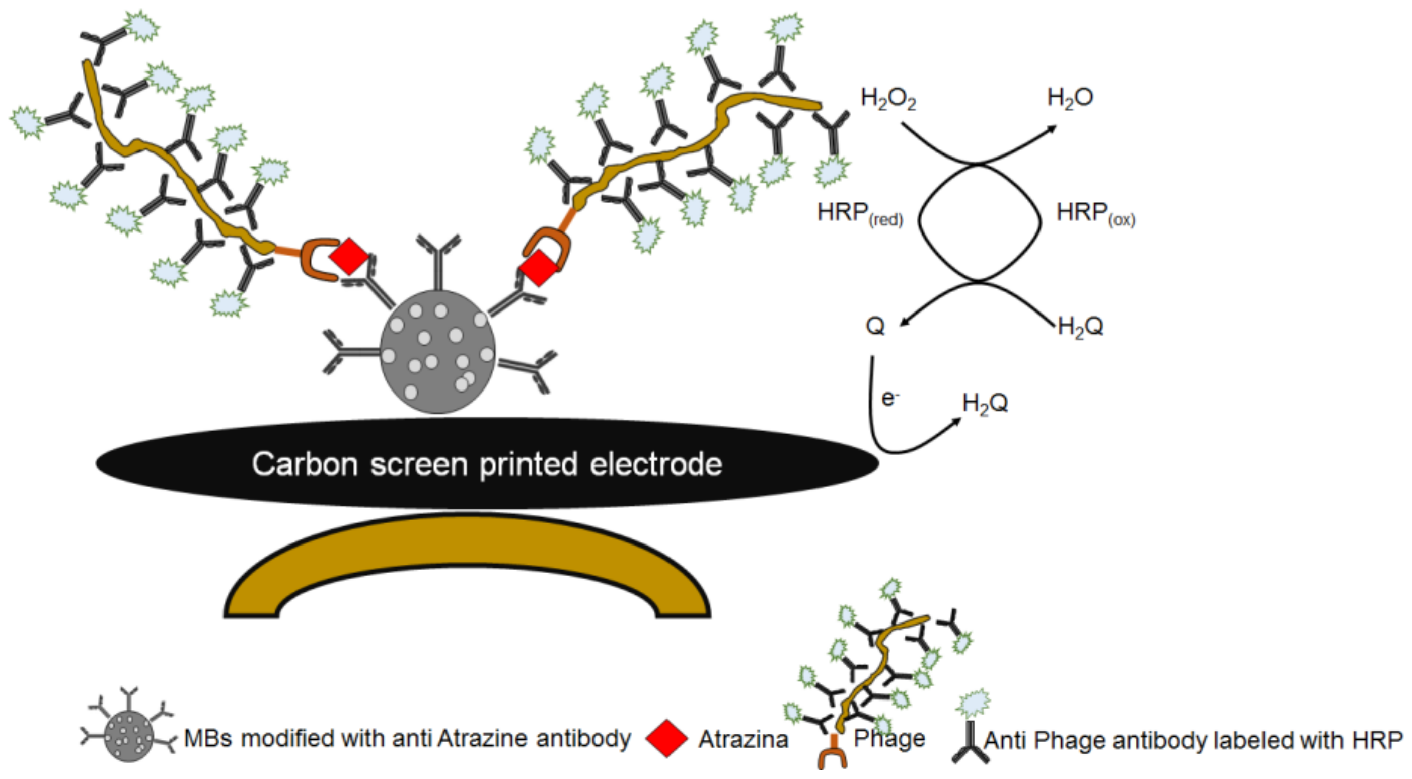Chemosensors 05 00023 sch007