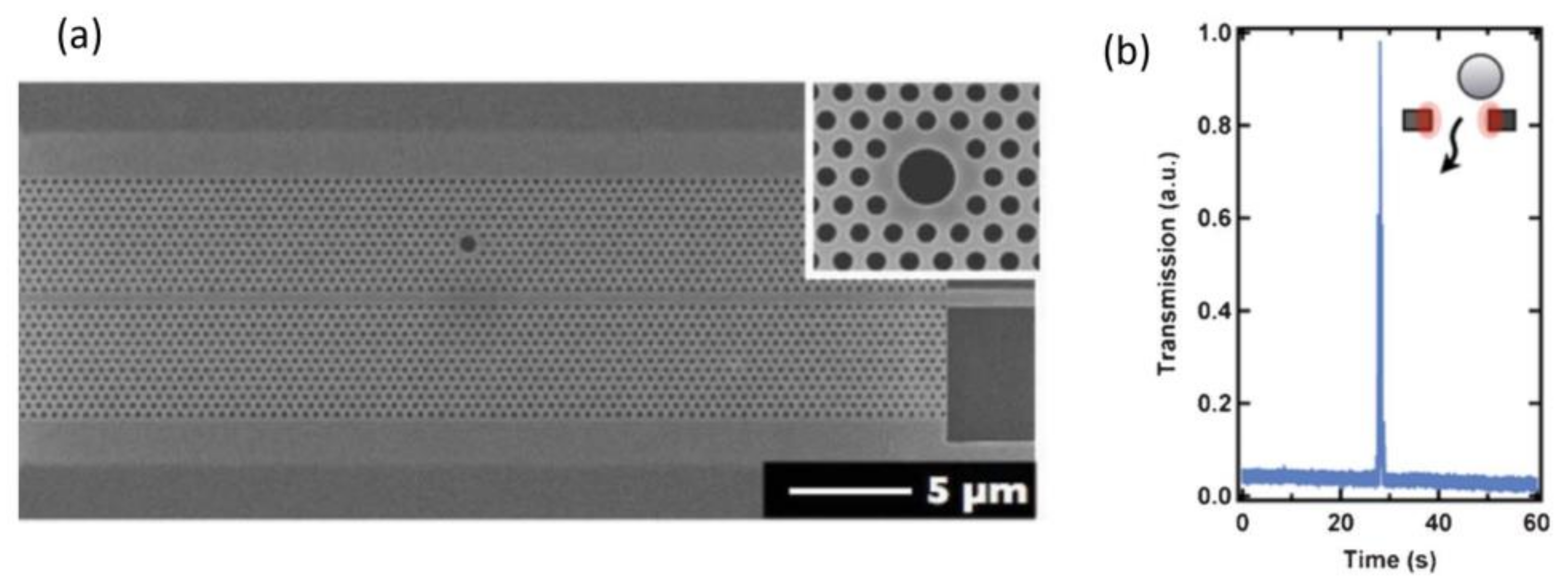 Chemosensors 06 00013 g003