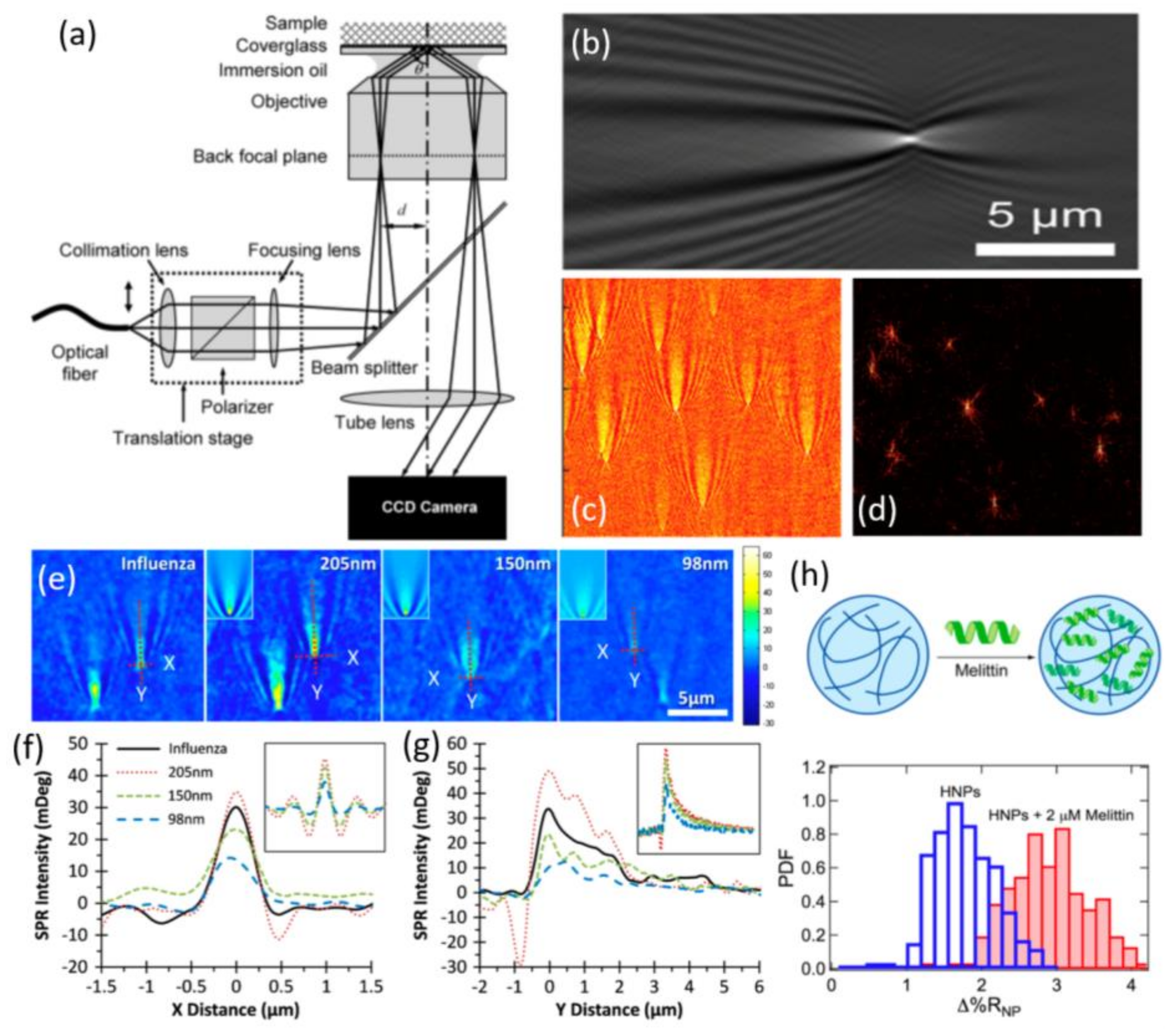 Chemosensors 06 00013 g005