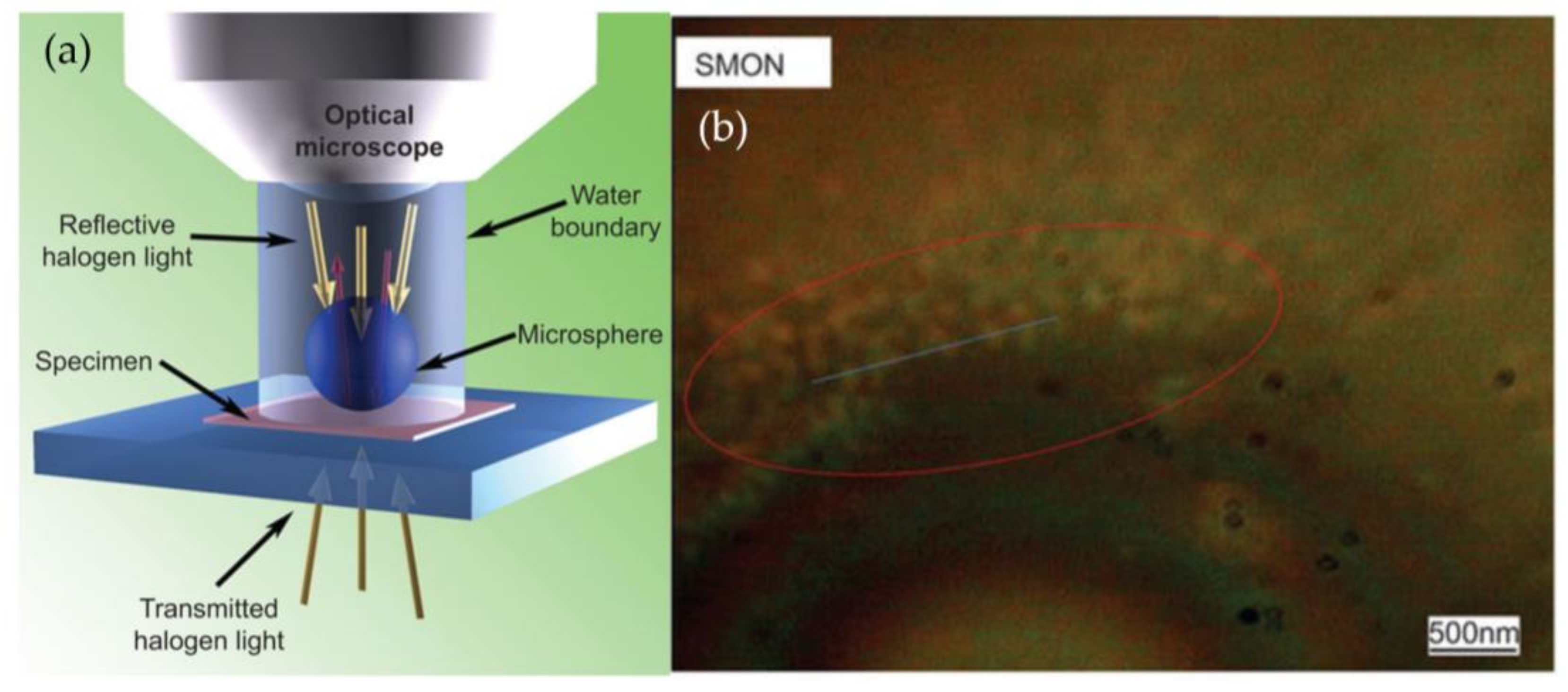 Chemosensors 06 00013 g008