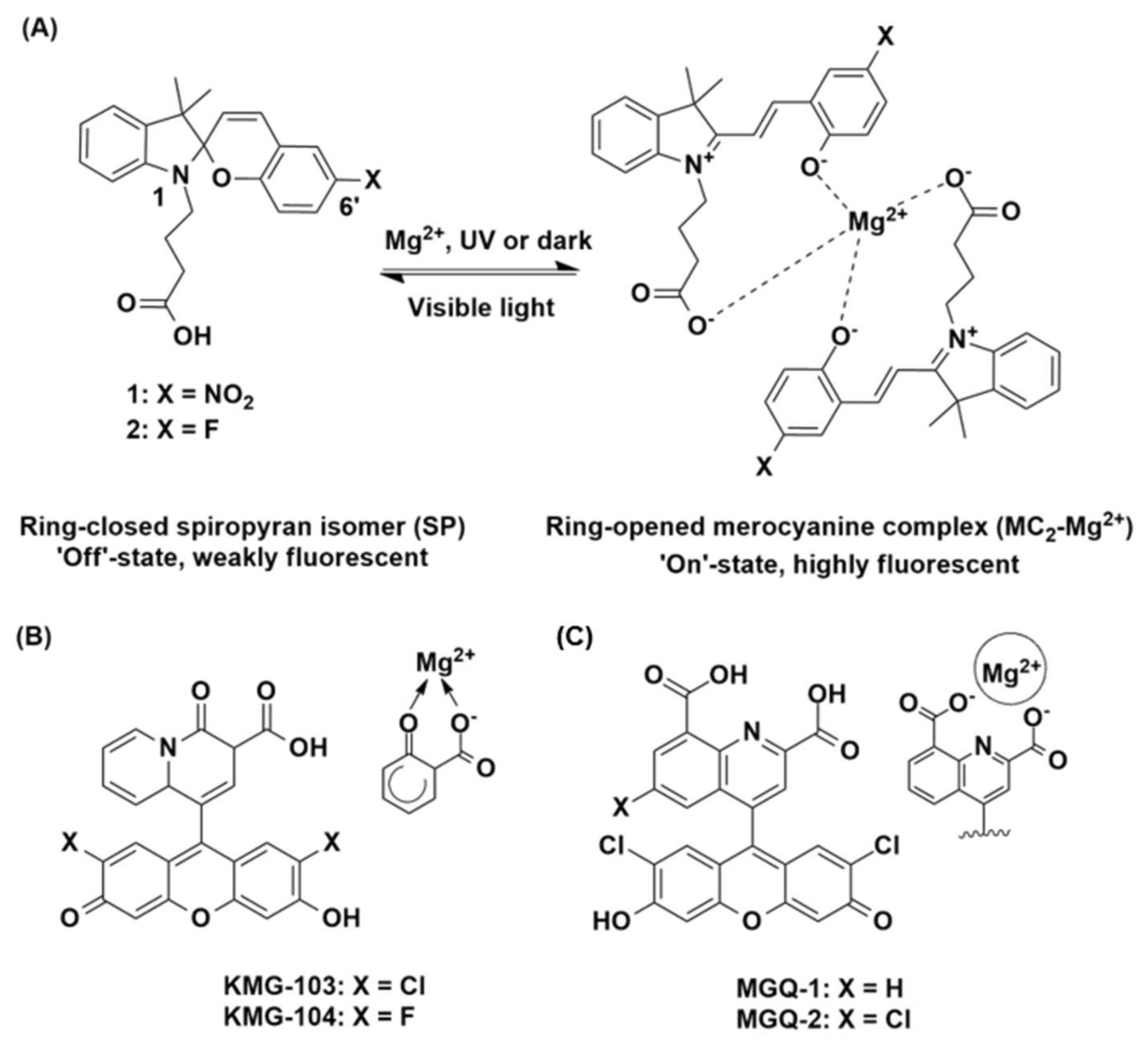 Chemosensors 06 00017 g001