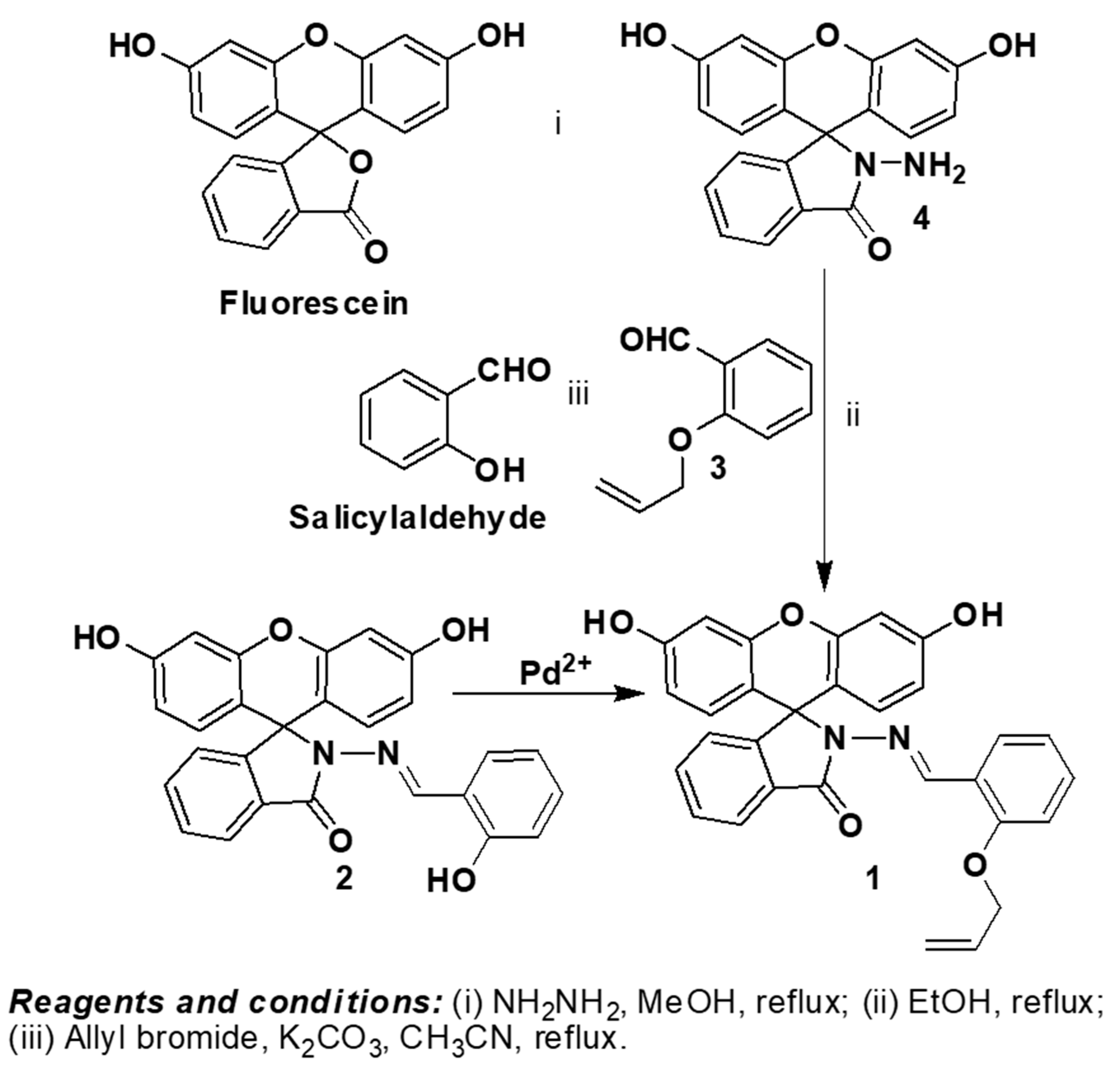 Chemosensors 08 00004 sch001