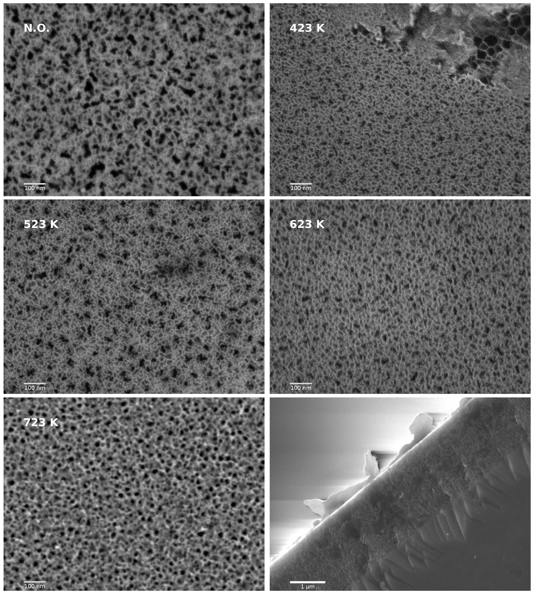 Chemosensors 10 00349 g002