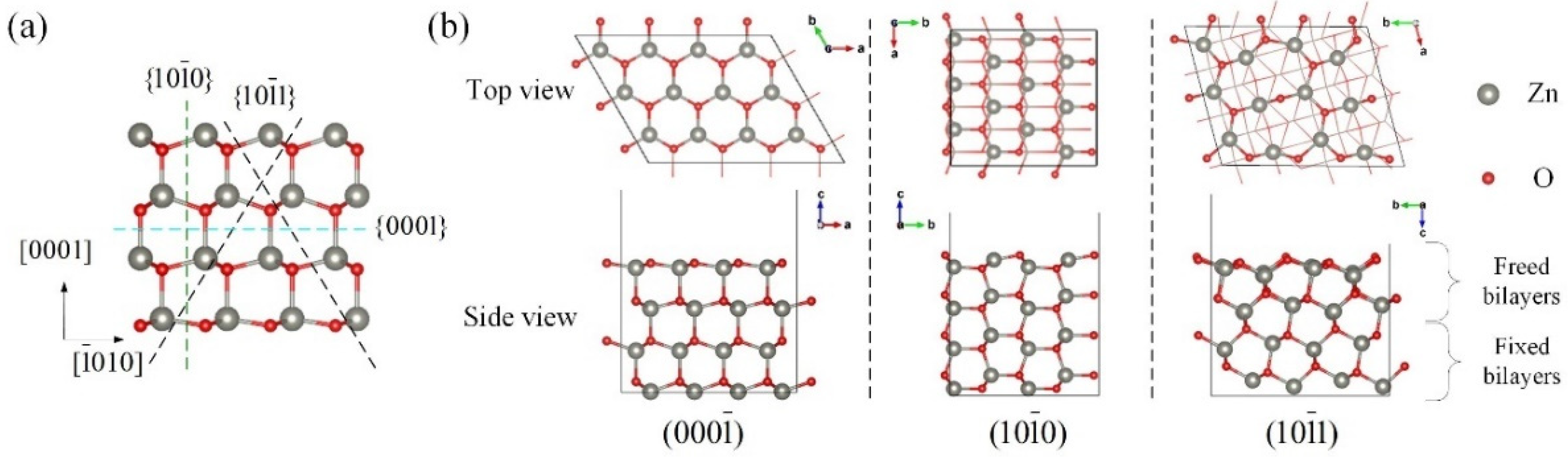 Chemosensors 10 00436 g001