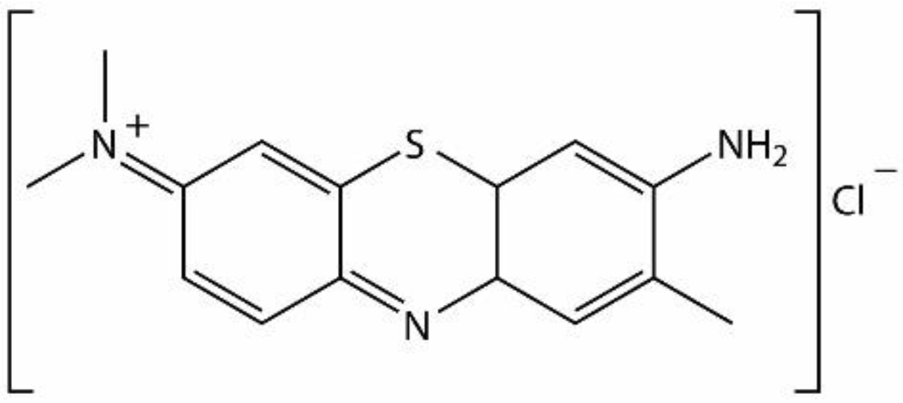 Chemosensors 10 00481 g001