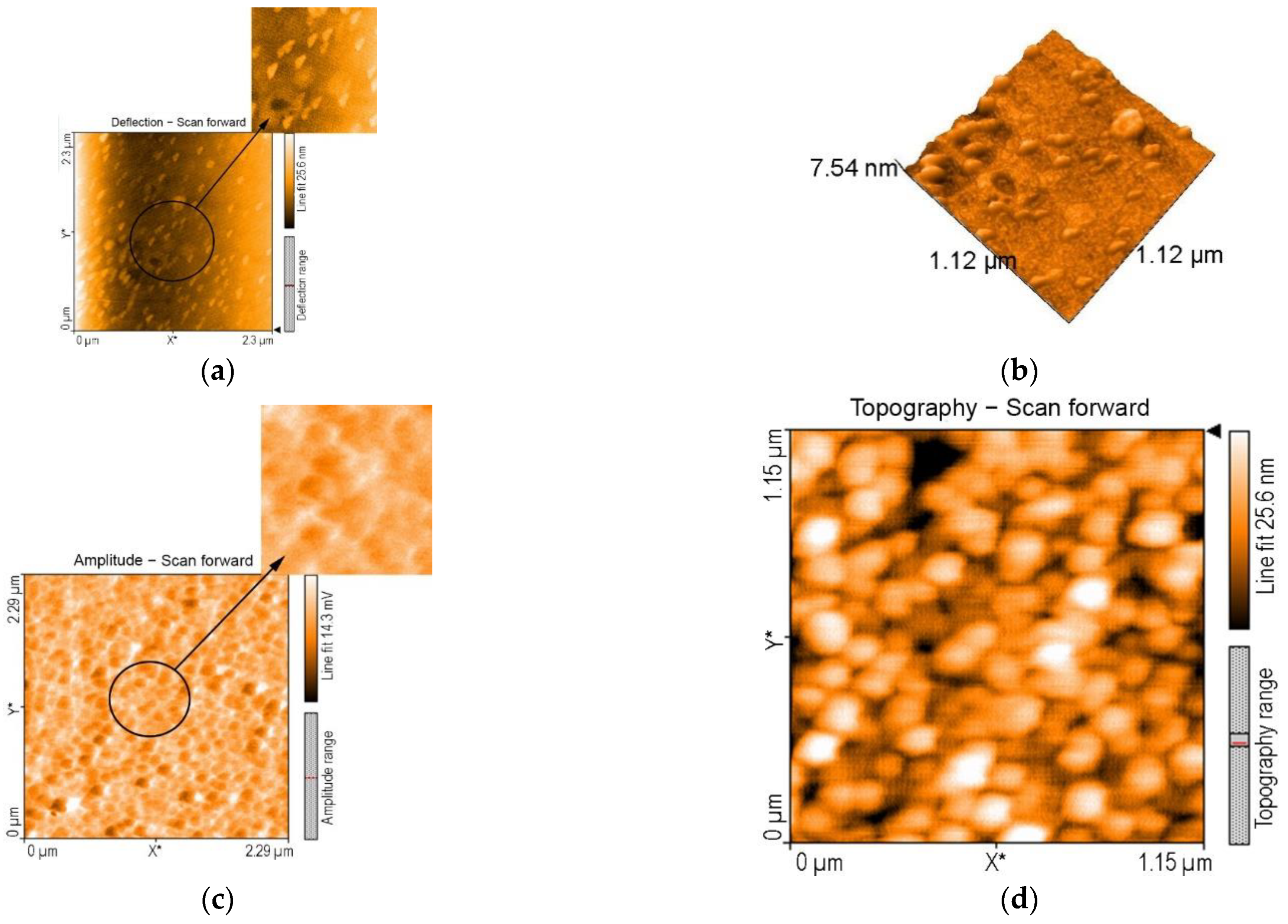 Chemosensors 10 00481 g009a