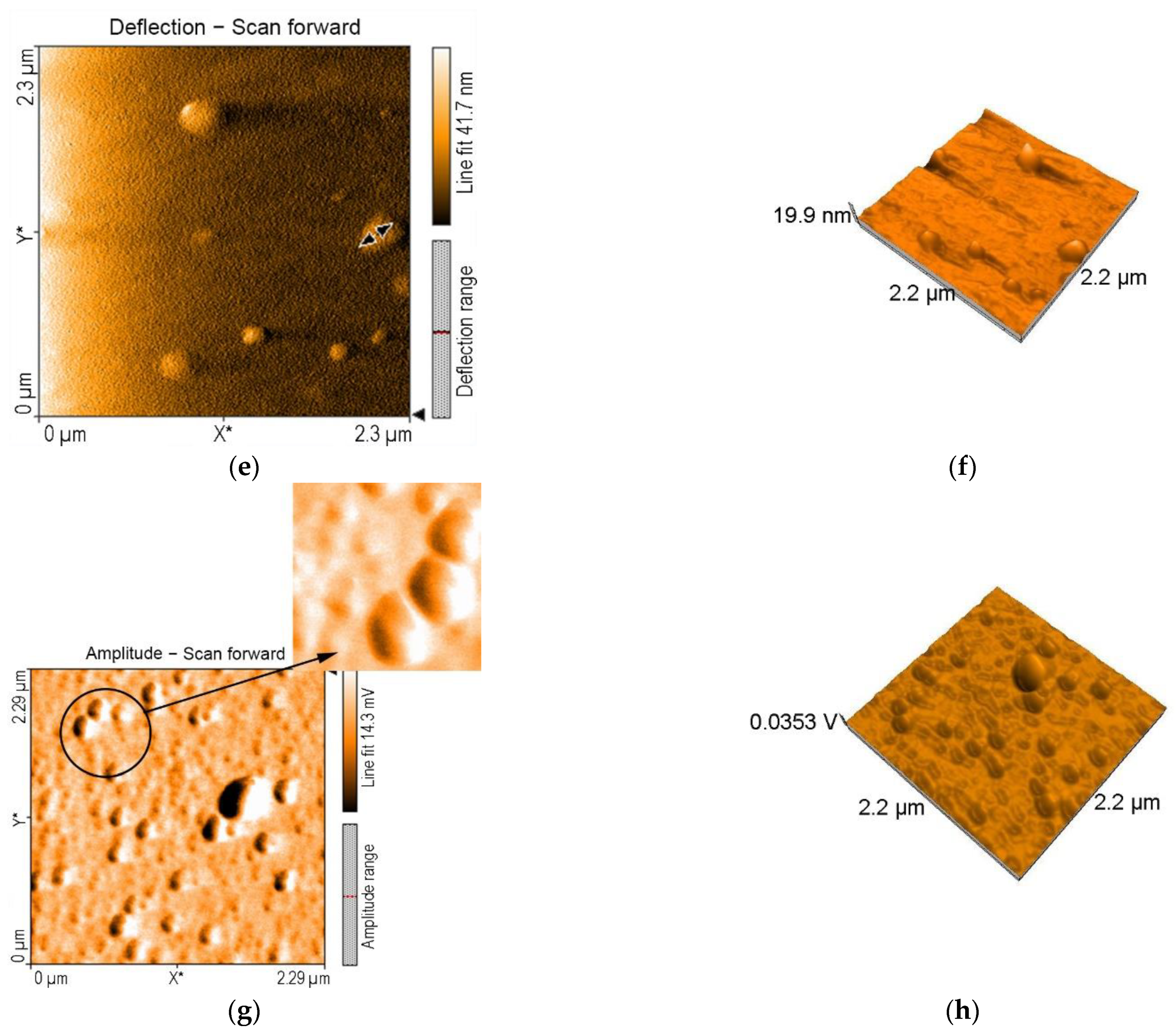 Chemosensors 10 00481 g009b