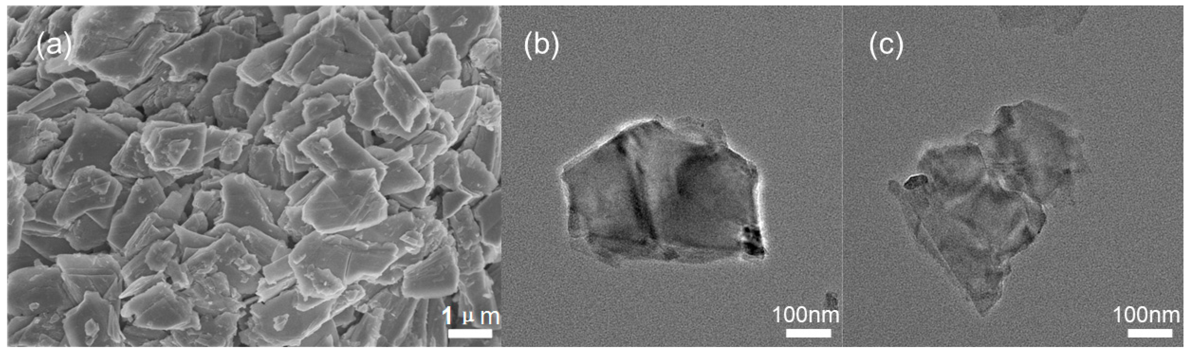 Chemosensors 10 00526 g002