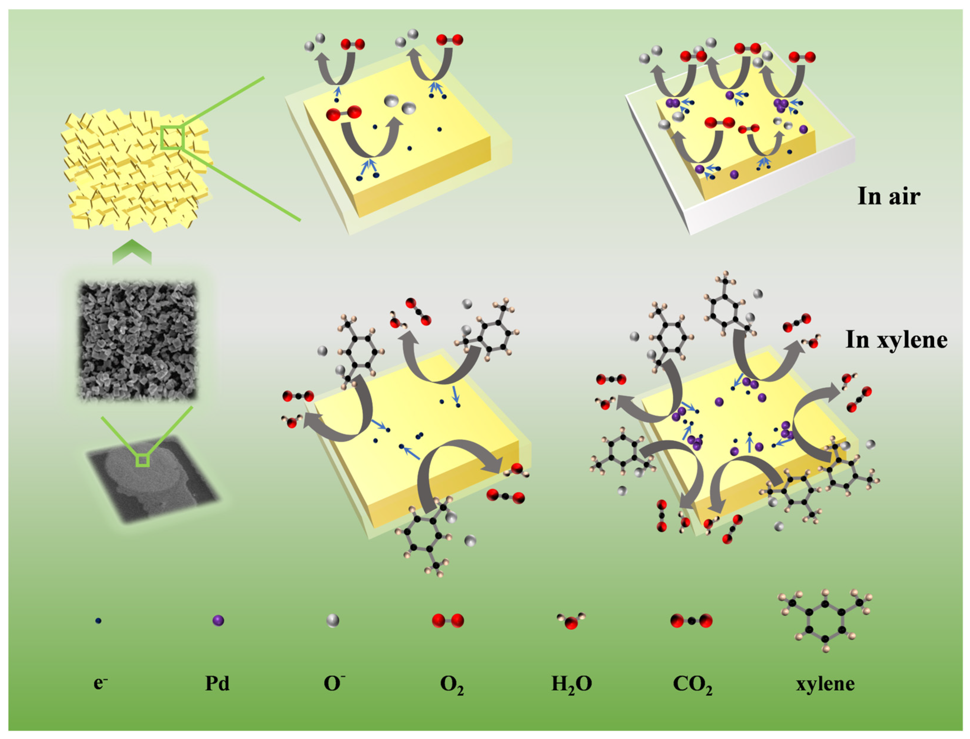 Chemosensors 11 00239 g012