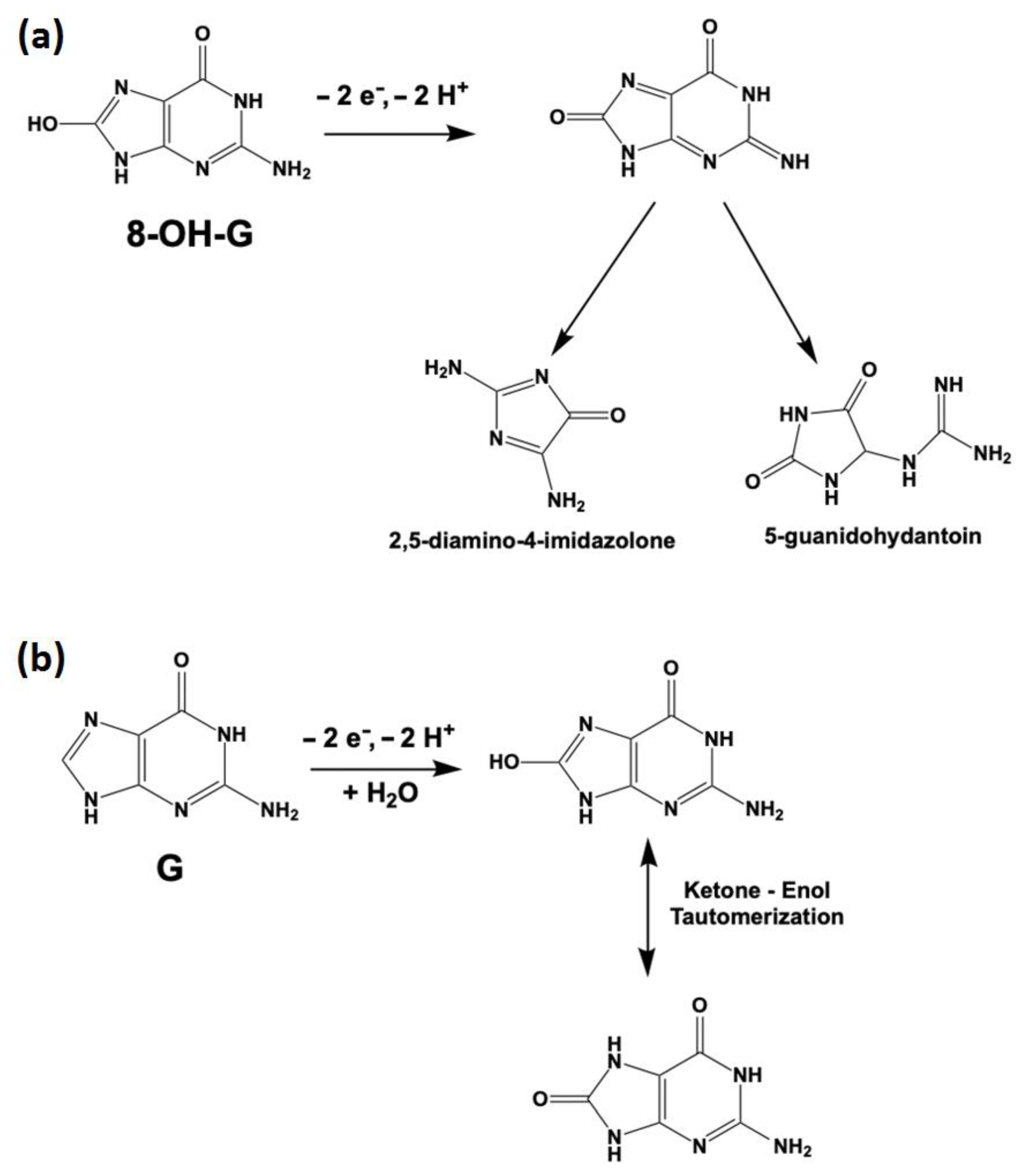 Chemosensors 11 00326 g006