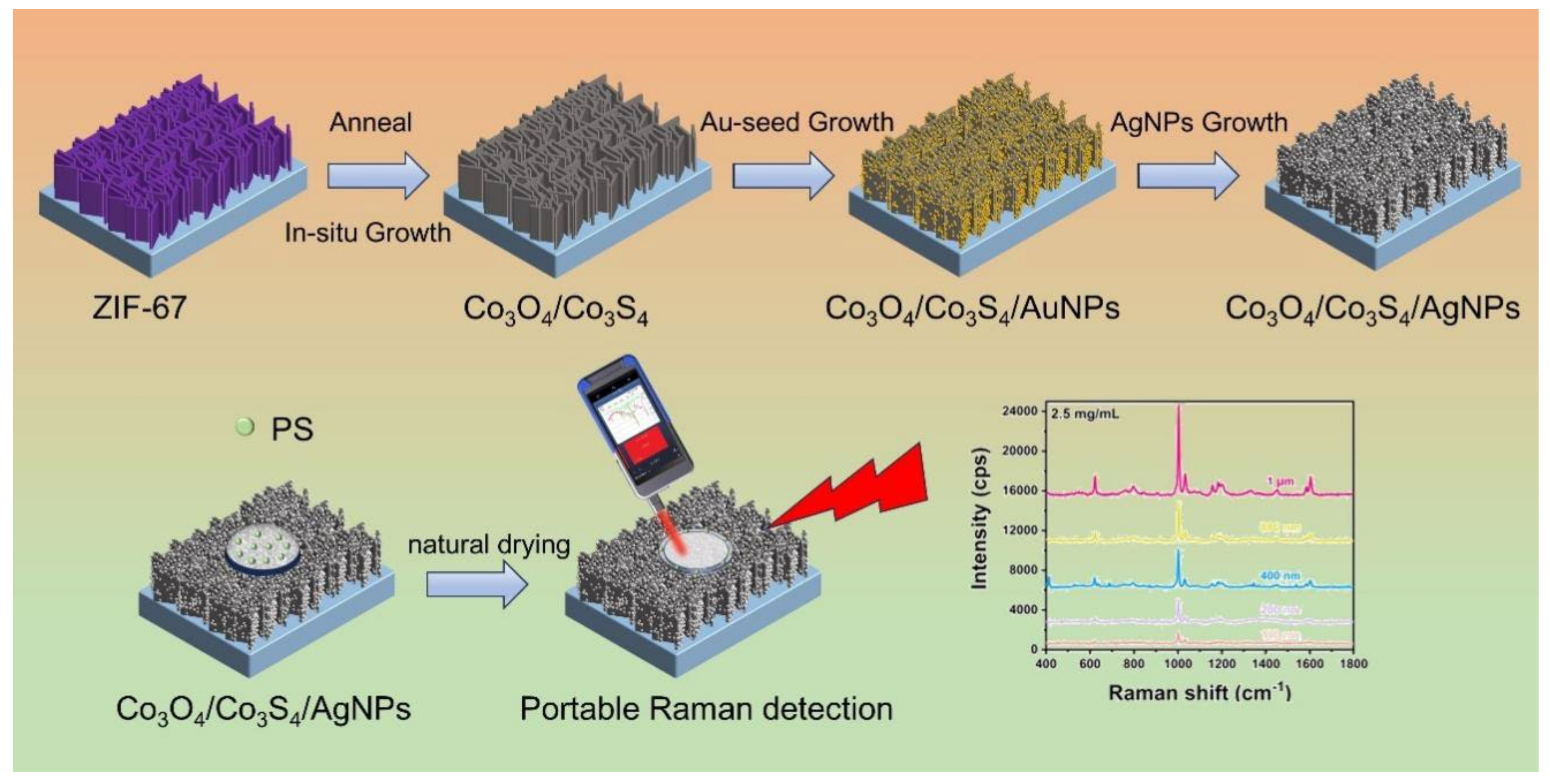 Chemosensors 11 00490 g001