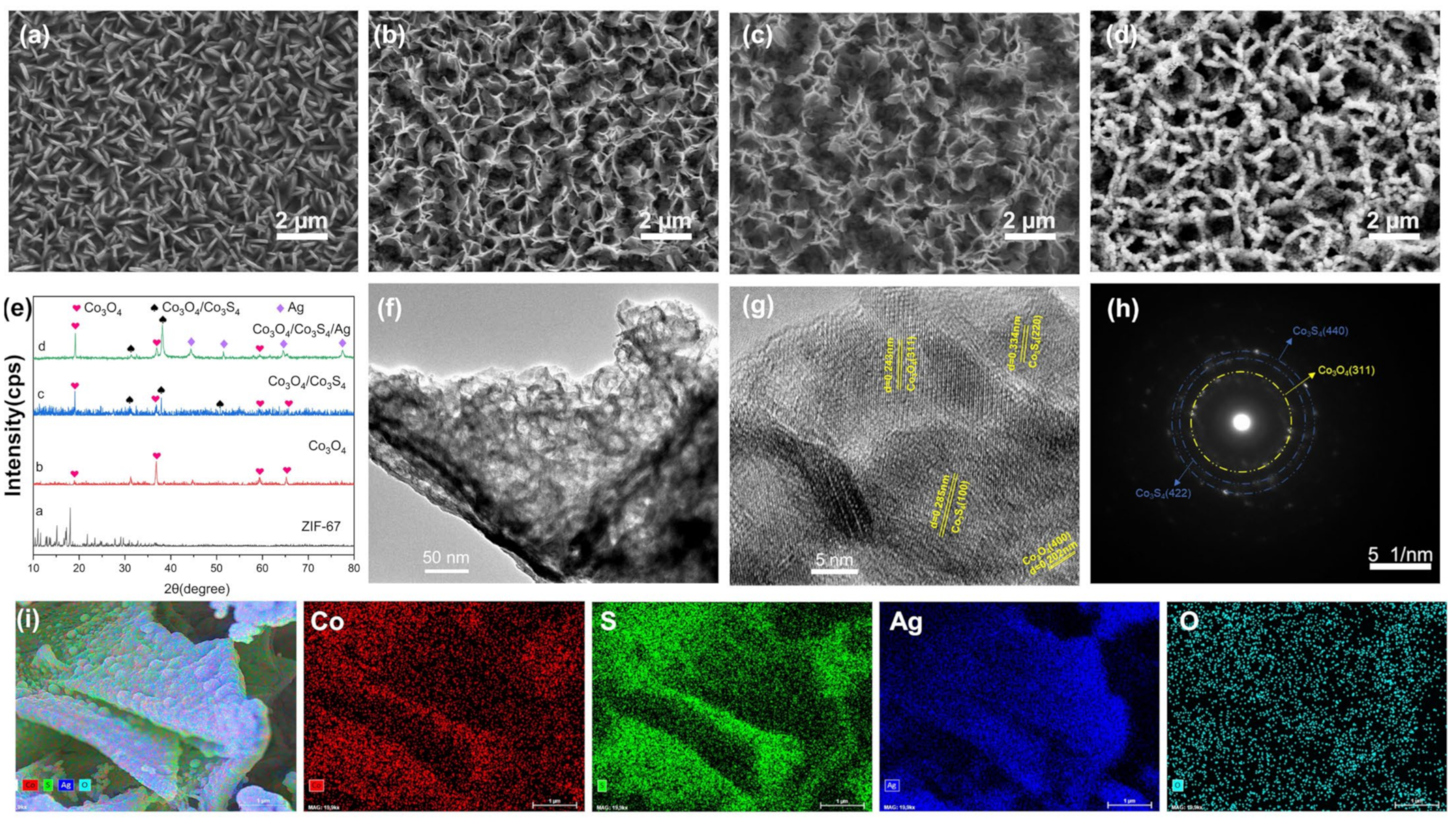 Chemosensors 11 00490 g002