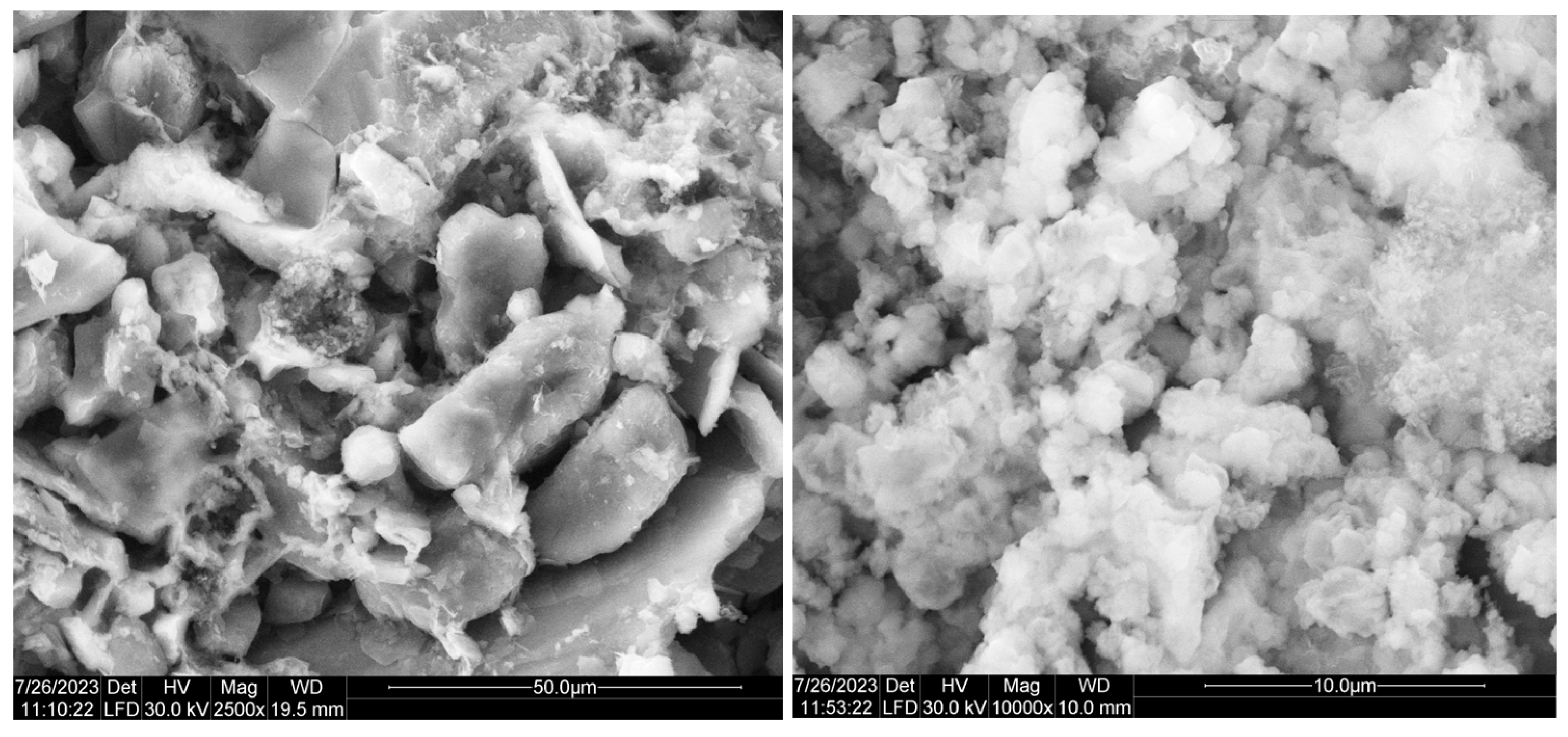Chemproc 13 00025 g007