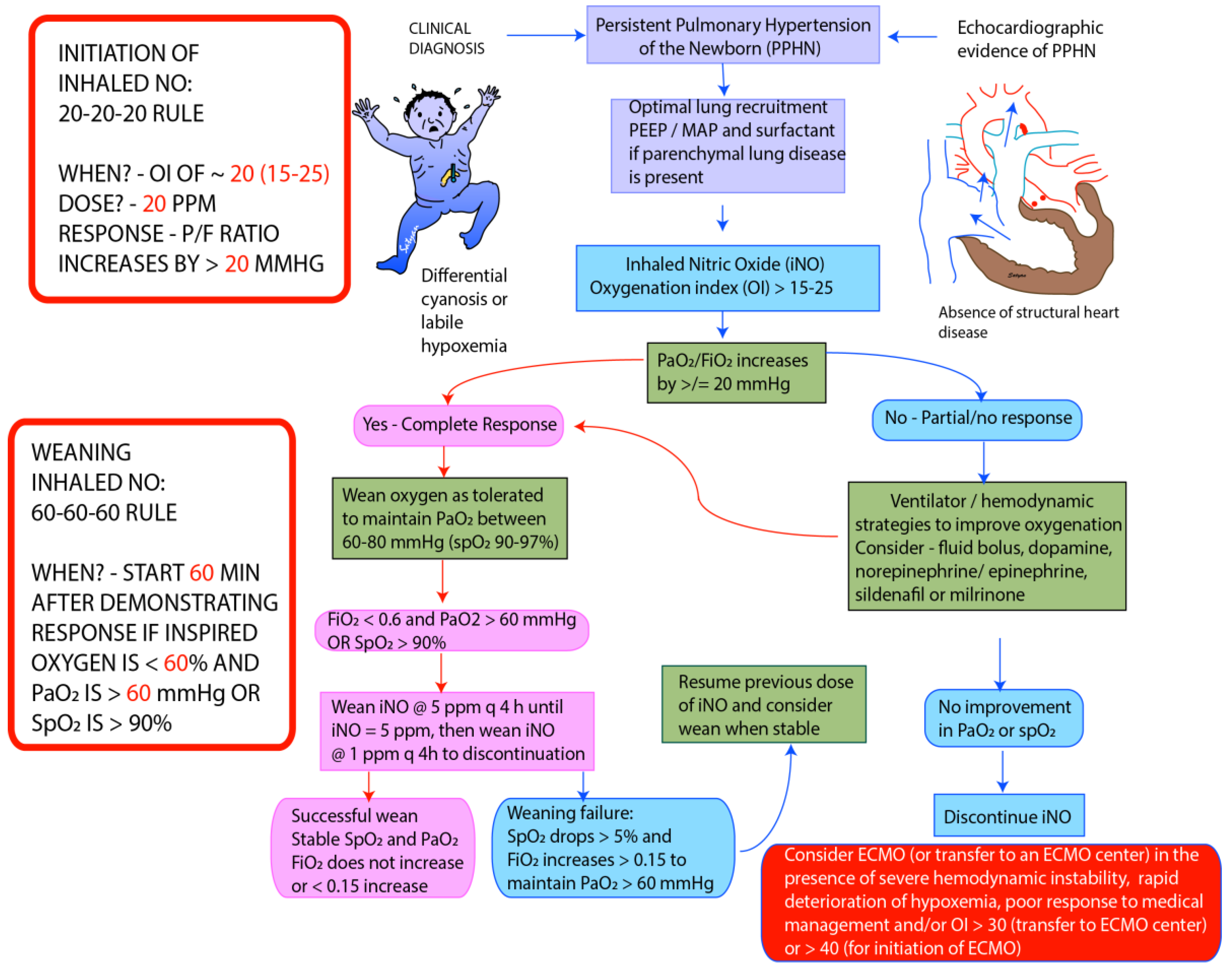 Children Free Full Text Persistent Pulmonary Hypertension In The 