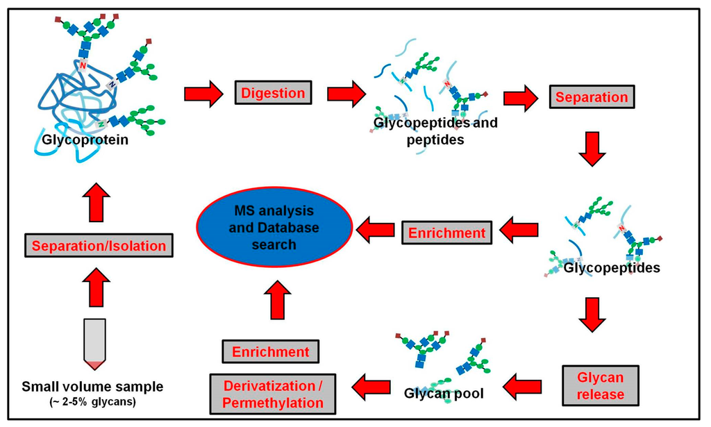 read nonsense mutation correction in human diseases an approach for targeted