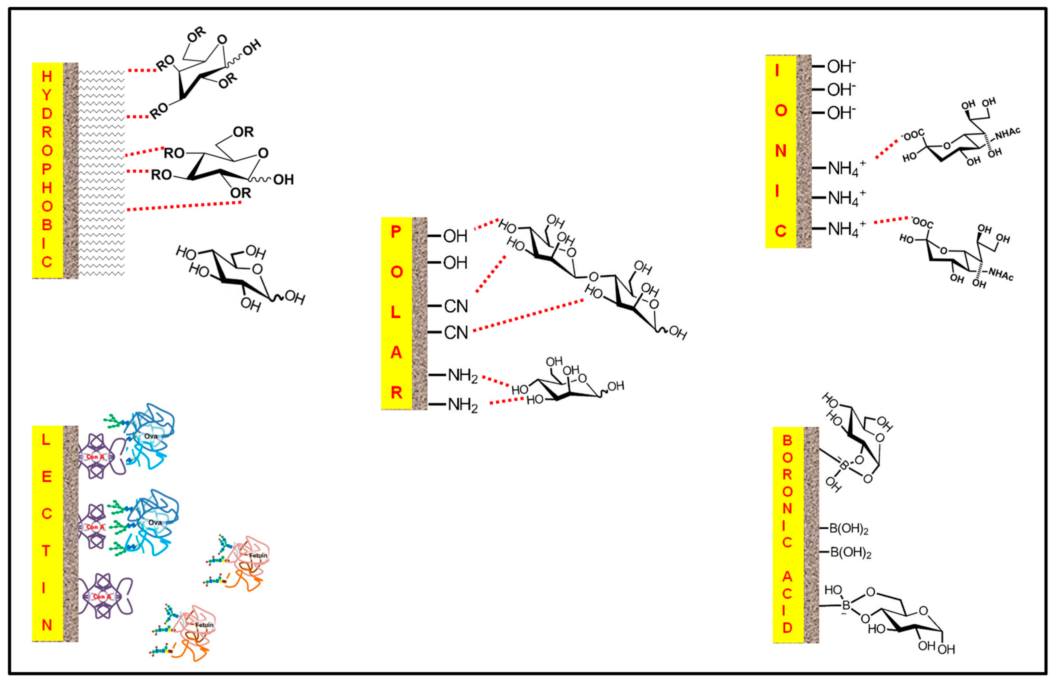 Chromatography 02 00020 g004
