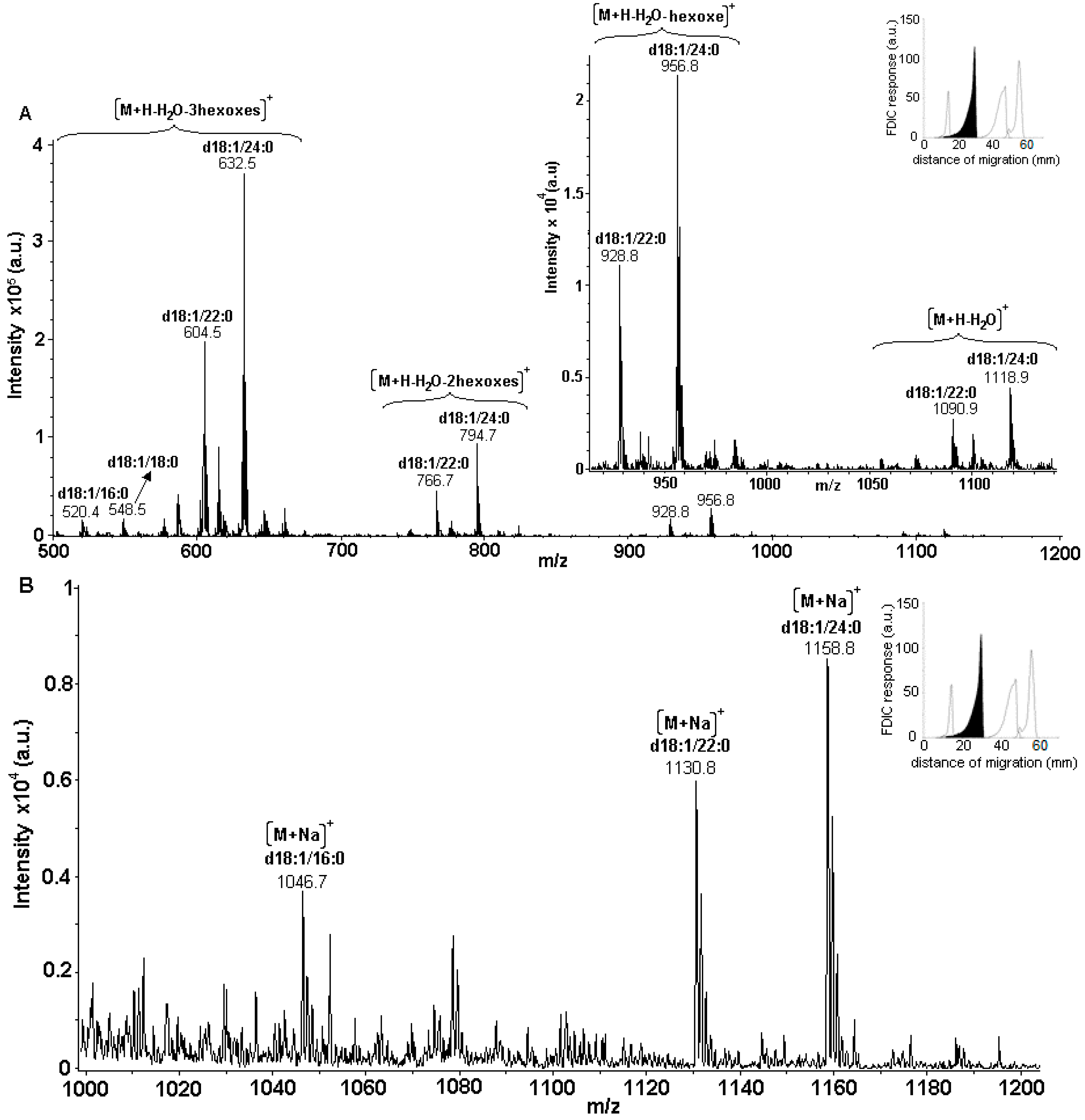 Chromatography 02 00167 g010