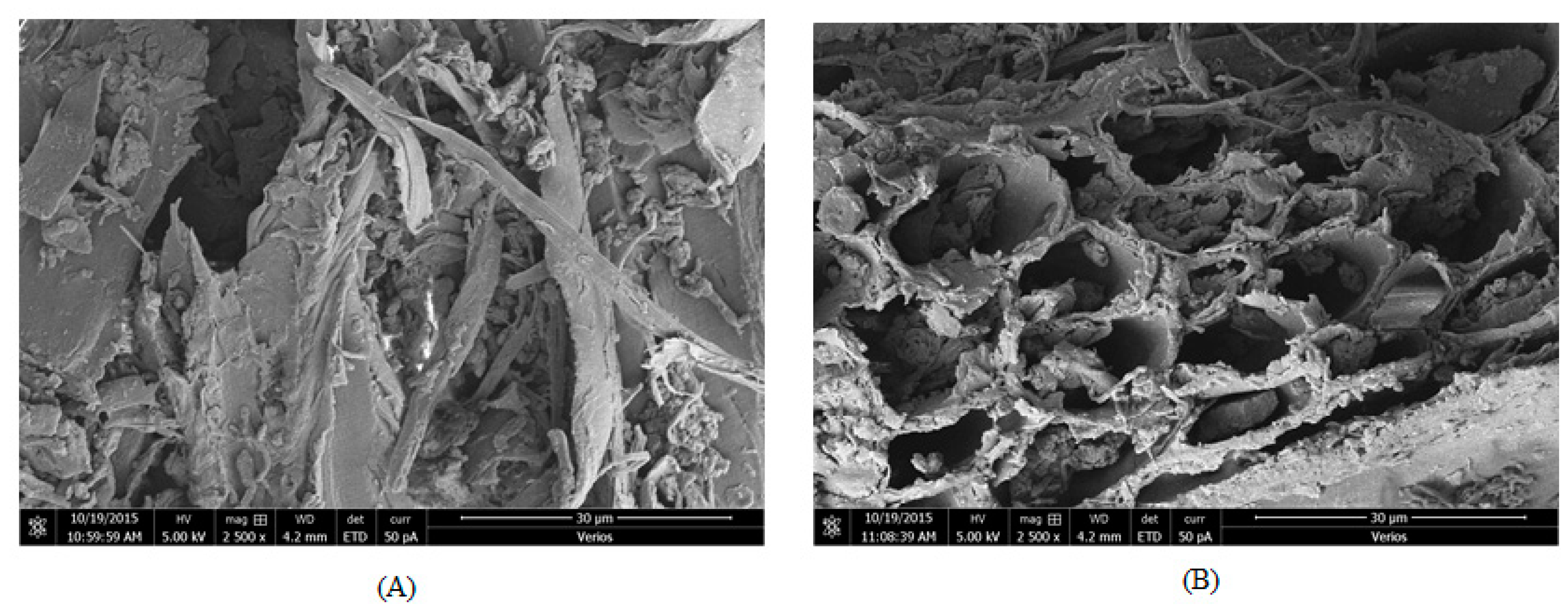 Cleantechnol 01 00009 g002