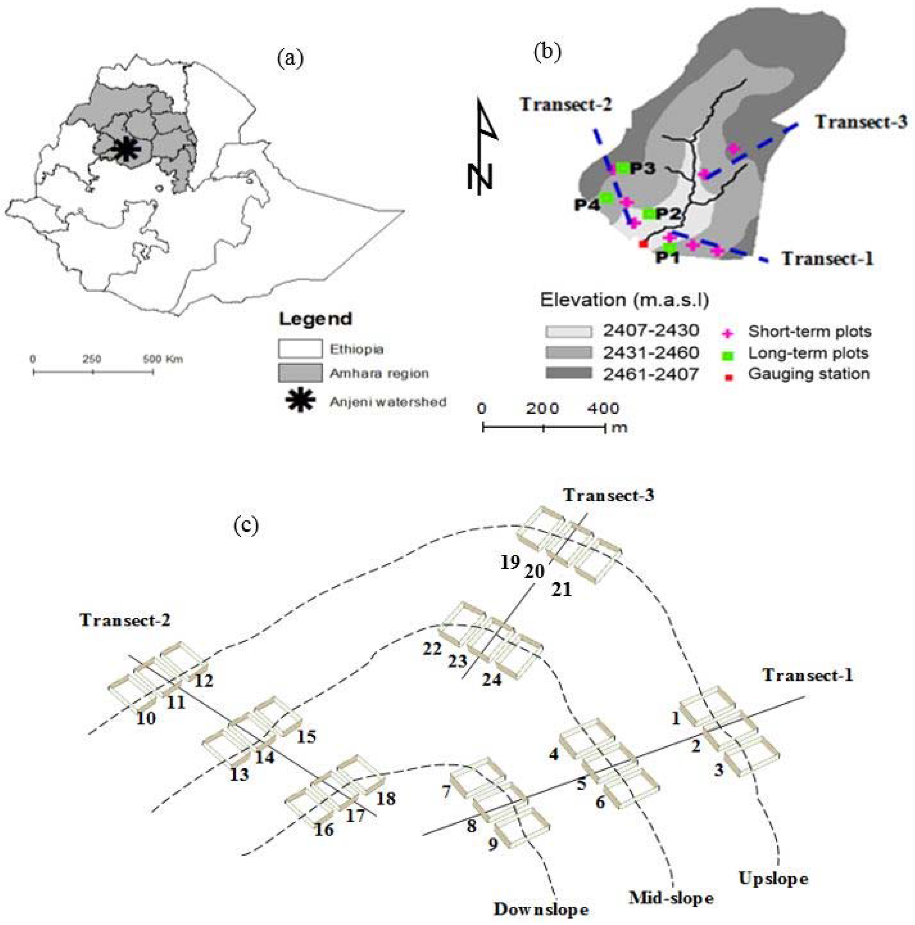 Climate 04 00062 g001