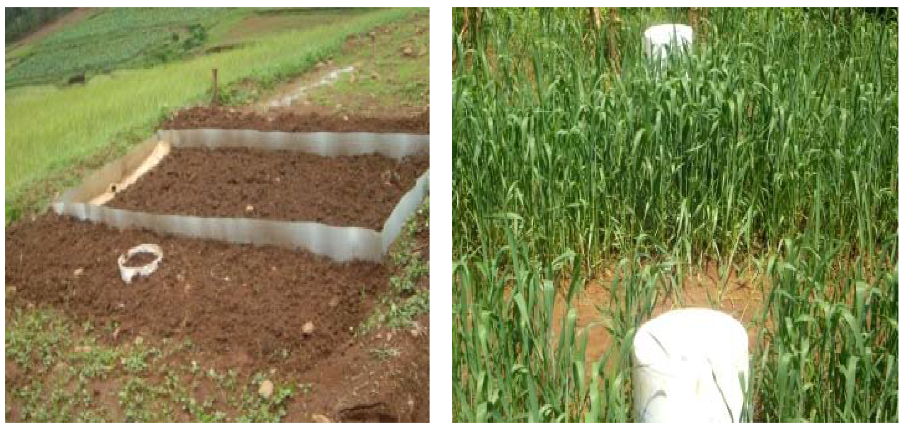 Climate 04 00062 g002