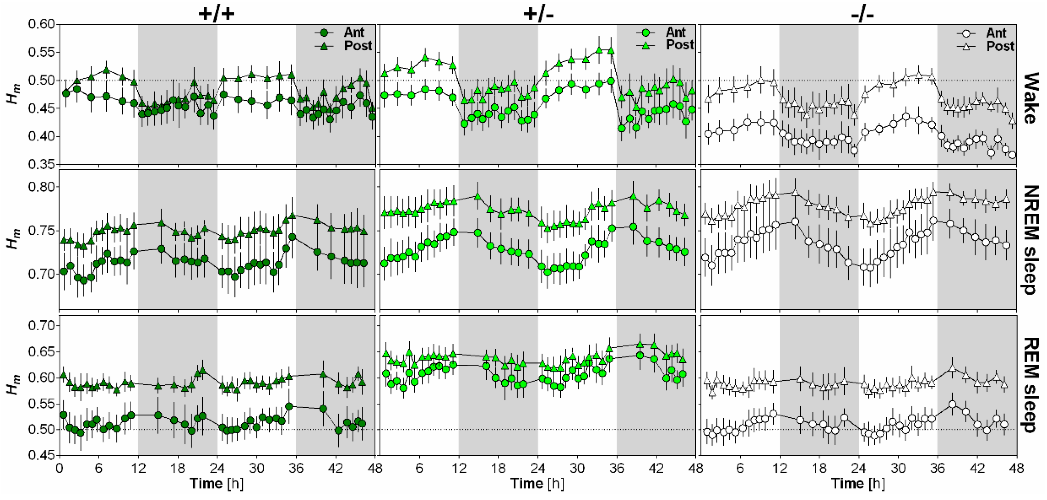 Clockssleep 01 00006 g003