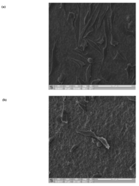 Coatings 01 00053f8a 200