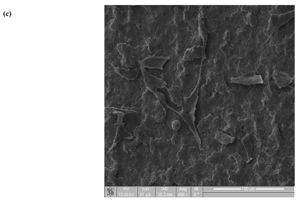 Coatings 01 00053f8b 1024