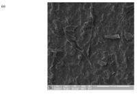 Coatings 01 00053f8b 200