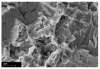 Coatings 01 00072f3 200