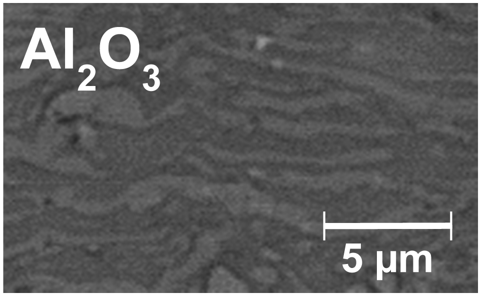 Coatings 01 00117f7 1024