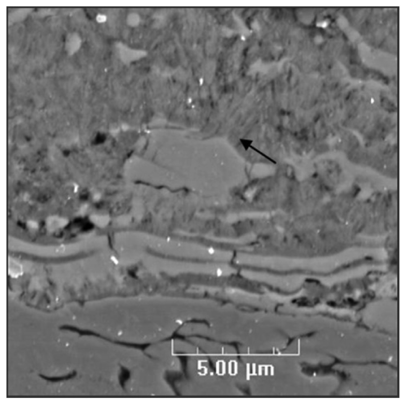 Coatings 01 00117f9 1024