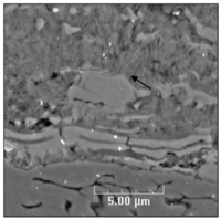 Coatings 01 00117f9 200