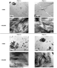 Coatings 02 00045 g001 200
