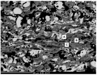 Coatings 02 00064 g007 200