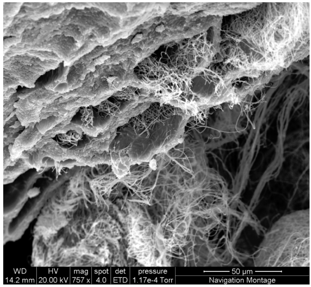 Coatings 02 00120 g005 1024