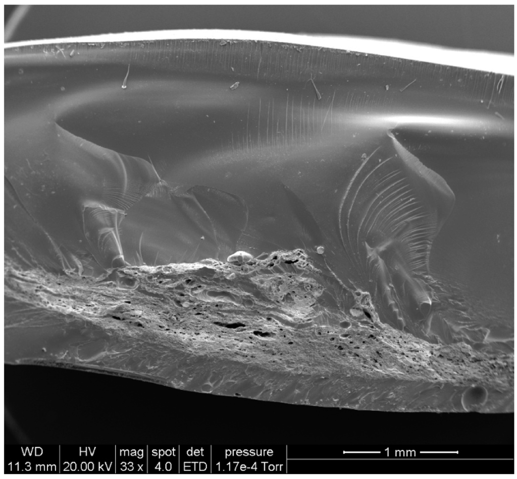 Coatings 02 00120 g010 1024