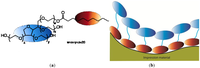 Coatings 02 00138 g009 200