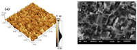 Coatings 02 00195 g002 200