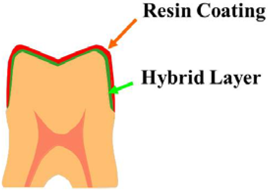 Coatings 02 00210 g007 1024