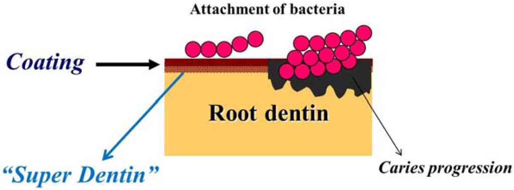 Coatings 02 00210 g009 1024