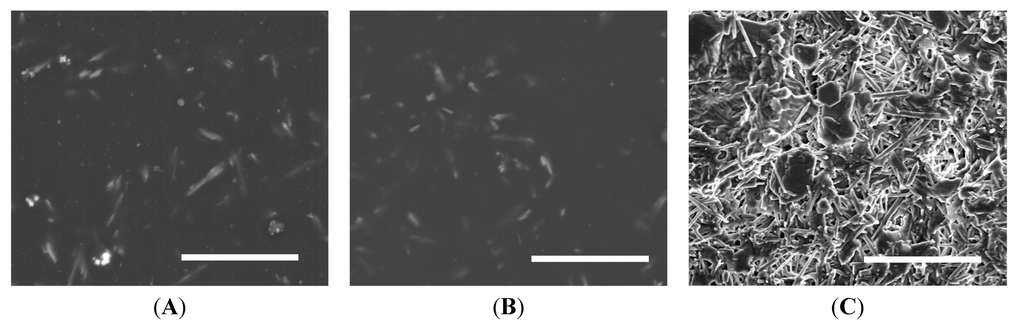 Coatings 03 00016 g003 1024