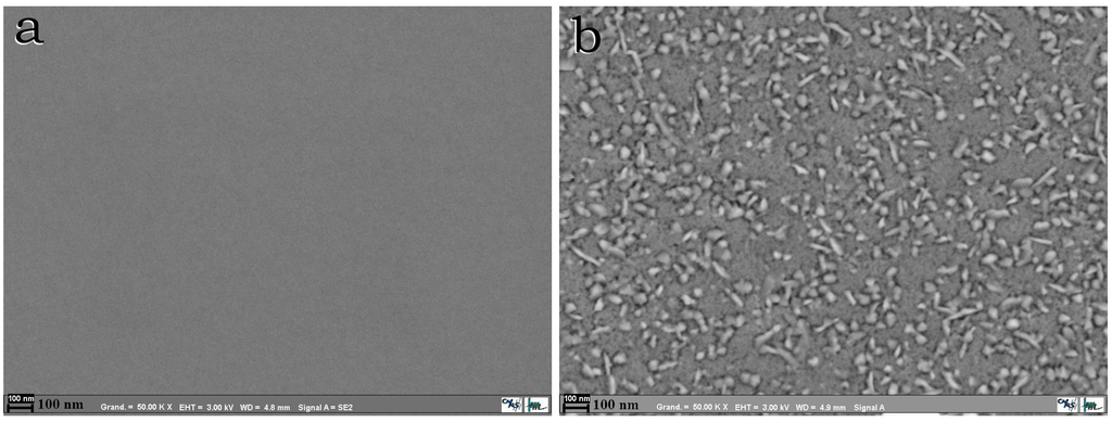 Coatings 03 00049 g001 1024
