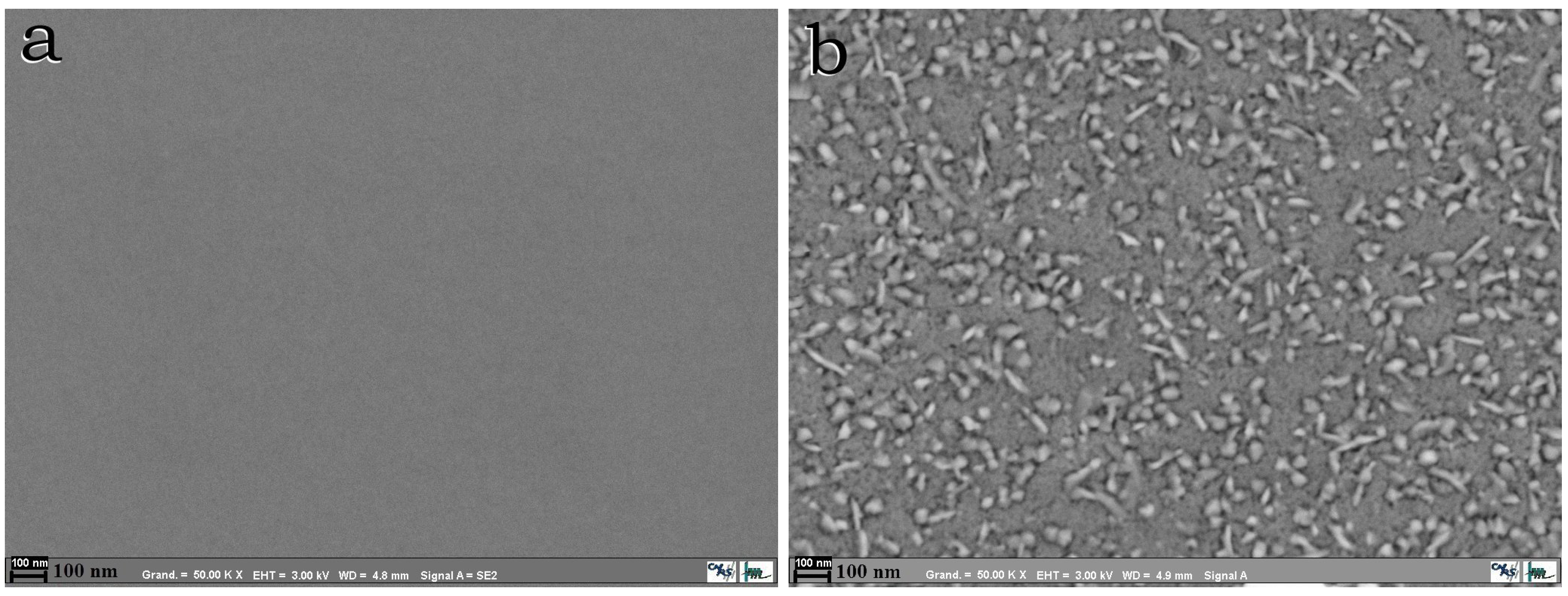 Coatings 03 00049 g001