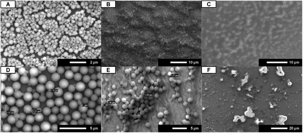 Coatings 03 00098 g004 1024