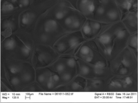Coatings 03 00140 g001 200