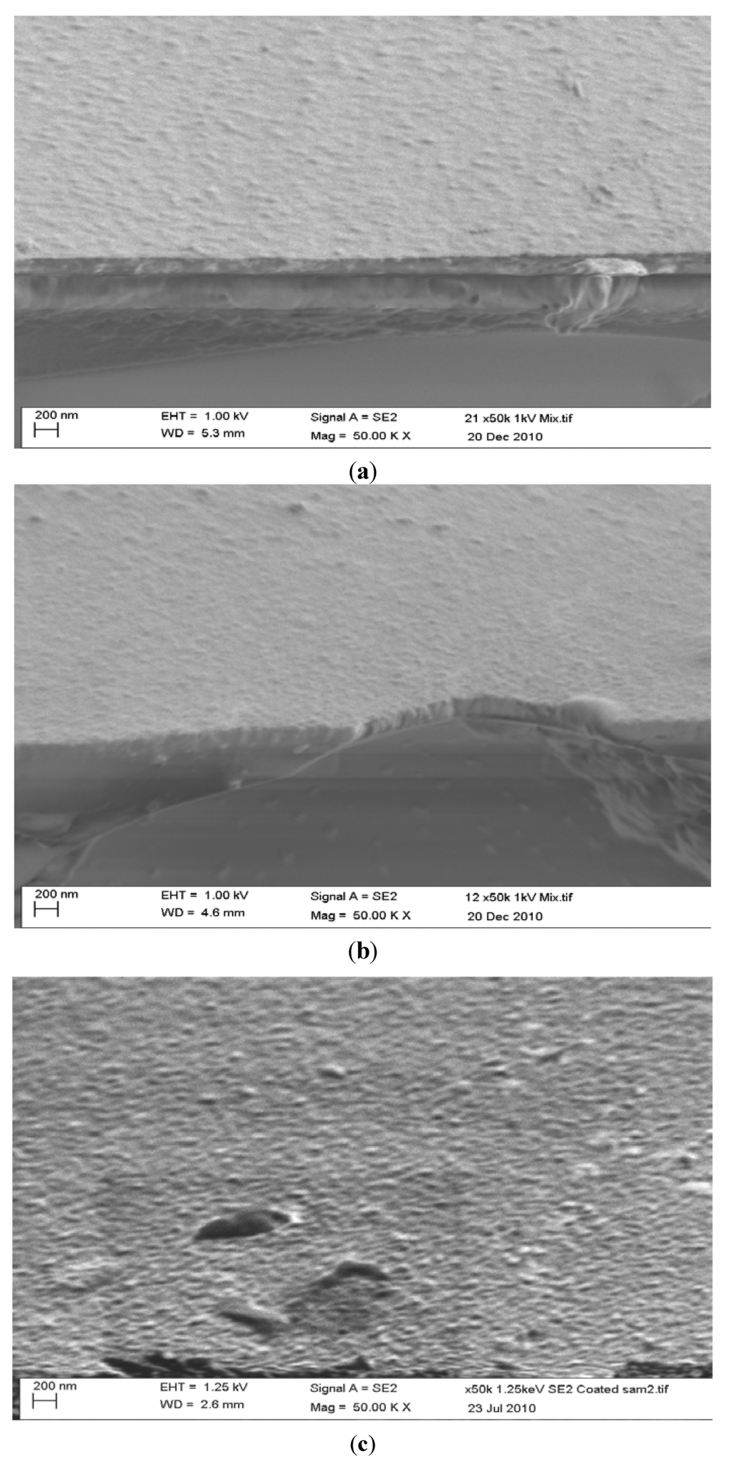 Coatings 03 00153 g002 1024