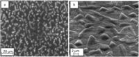 Coatings 03 00166 g004 200