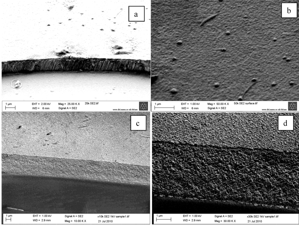 Coatings 03 00177 g004 1024