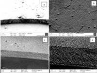Coatings 03 00177 g004 200