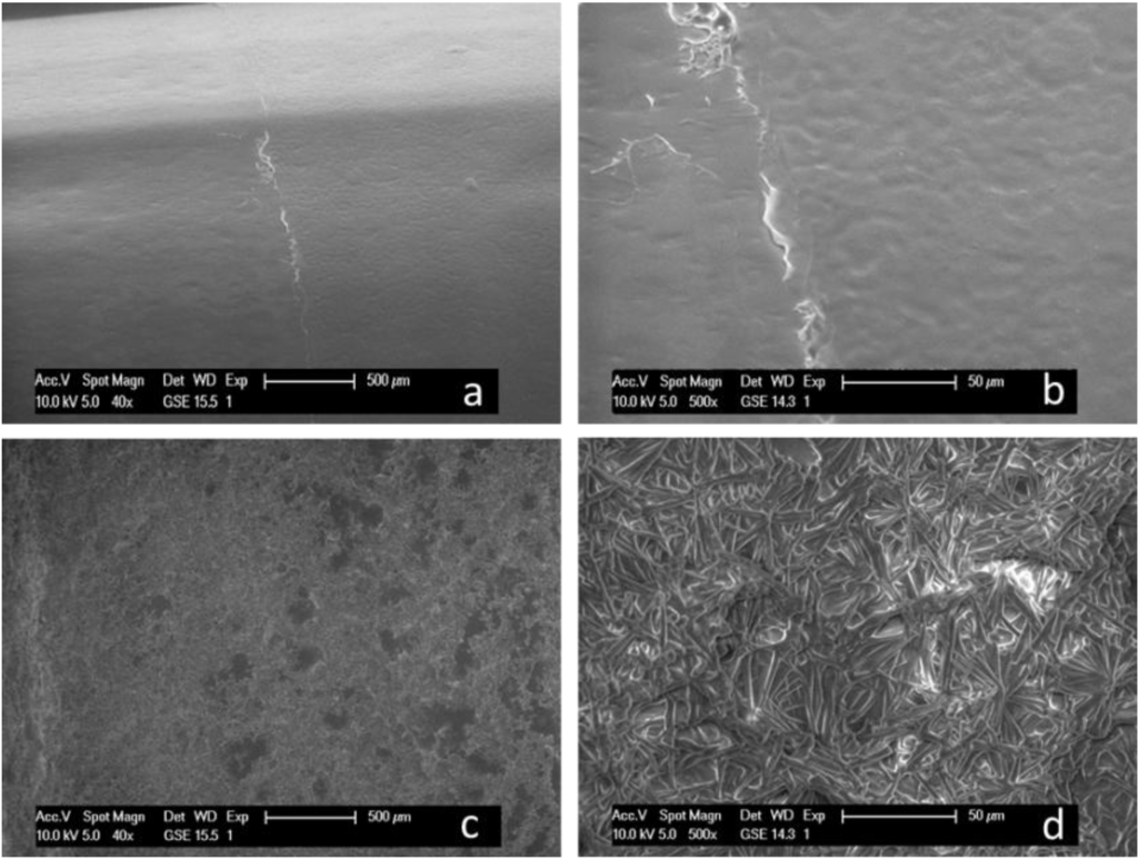 Coatings 03 00253 g003 1024